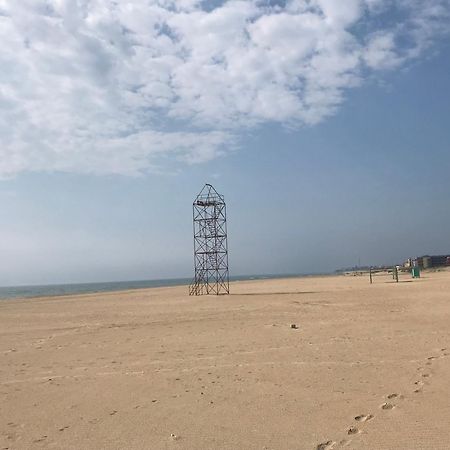 מלון זאטוקה Золотий Лев מראה חיצוני תמונה